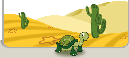 tortoise